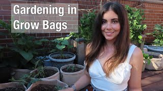 Gardening in Grow Bags  Container Gardening [upl. by Schlosser]