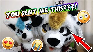 YOU SENT ME A FURSUIT  Fursuit PO Box [upl. by Ahsilam]