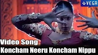 DongaDonga Movie  Koncham Neeru Koncham Nippu Video Song [upl. by Nomrah71]