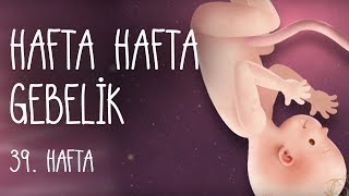 Hafta Hafta Gebelik 39 hafta [upl. by Vitus174]