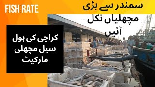 karachi fishery market Karachi Biggest Fish Market [upl. by Ulrich]