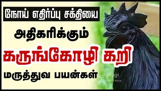 கருங்கோழி மருத்துவ பயன்கள்  Kadaknath Chicken Health Benefits Tamil  Black chicken  Medical Hen [upl. by Htabazile]