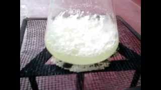 How to make Potassium Chlorate  KClO3  from bleach [upl. by Sirotek657]