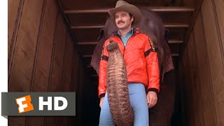 Smokey and the Bandit II 1980  Thats An Elephant Scene 110  Movieclips [upl. by Arria]