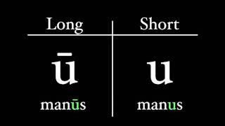 The Latin Alphabet  Vowel Pronunciation [upl. by Shah]