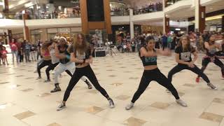 BEST FLASH MOB EVER [upl. by Whipple]