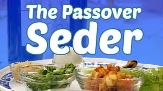 The Passover Seder What to Expect [upl. by Ocramed560]