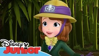 Sofia the First  Stronger Than You Know  Official Disney Junior Africa [upl. by Eartha]