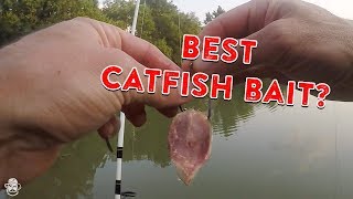 How To Catch Catfish From The Bank  Catfishing Bait Rigs amp Tips [upl. by Lohman]