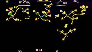 Acid and basecatalyzed hydrolysis of amides  Organic chemistry  Khan Academy [upl. by Nosinned401]