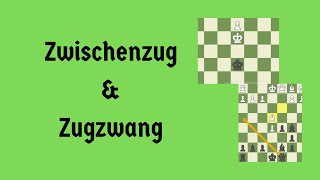 Zugzwang and Zwischenzug [upl. by Lehpar642]