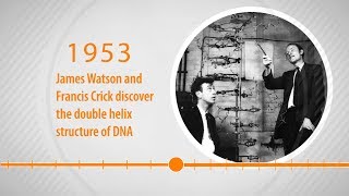 Human Genome Timeline Animation [upl. by Aznarepse582]