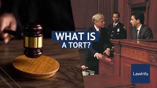 What Is a Tort  LawInfo [upl. by Aitram]