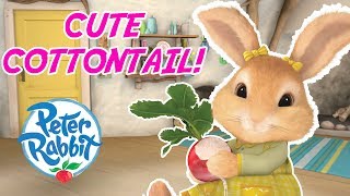 Peter Rabbit  Cottontails Cutest Moments  Cartoons for Kids [upl. by Castor]