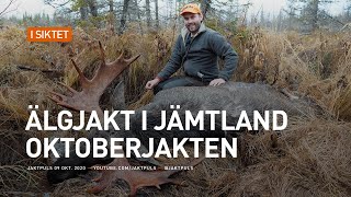 Älgjakt i jämtland  Oktoberjakten [upl. by Midge]