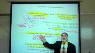 INFLAMMATION FEVER amp ANTIPYRETICS by Professor Fink [upl. by Aikahc463]