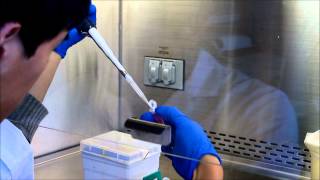 RNA Extraction Tutorial [upl. by Salta]