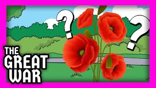 Why do we wear poppies [upl. by Wilsey266]