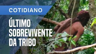 ÍNDIO SOBREVIVENTE VIVE ISOLADO HÁ 22 ANOS NA AMAZÔNIA [upl. by Liu]