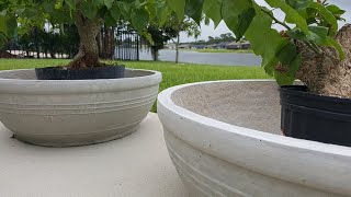 DIY  LARGE CONCRETE PLANTER ANY SIZE FOR LESS [upl. by Cheadle921]