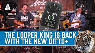 New TC Electronic Ditto  The Iconic Mini Looper Pedal Now With NextLevel Upgrades [upl. by Ender676]