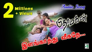 Elangathu Song  Pithamagan  Vikram  Suriya  Ilayaraja [upl. by Lindy]