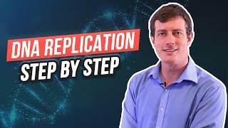 6 Steps of DNA Replication [upl. by Yllitnahc]