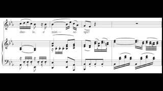 Porgi Amor Le Nozze di Figaro  Mozart Score Animation [upl. by Eidahs378]