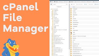 How to Use File Manager in cPanel  HostGator Tutorial [upl. by Bryn]