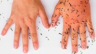 8 AllNatural Ways to Keep Mosquitoes Away [upl. by Kaspar839]