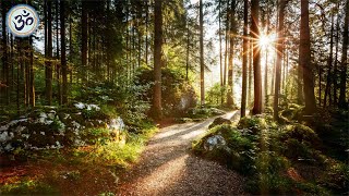 Relaxing Music with Nature Sounds Forest Music Sleep Music Meditation Music [upl. by Rovert]