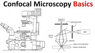 Confocal microscopy Basics [upl. by Tamas]