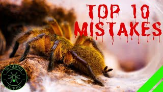 TOP 10 Mistakes Keeping Tarantulas amp Spiders  DONT DO THIS [upl. by Verger]