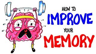 How To Improve Your Memory RIGHT NOW [upl. by Vick]