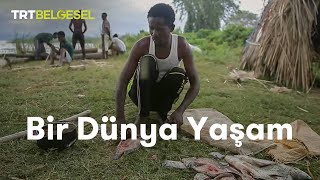 Bir Dünya Yaşam  Afrikada Balıkçılık  TRT Belgesel [upl. by Eilagam506]