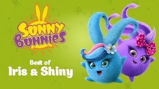 SUNNY BUNNIES  Iris and Shinys Top 10 Funniest Moments  Cartoons for Children [upl. by Astiram]