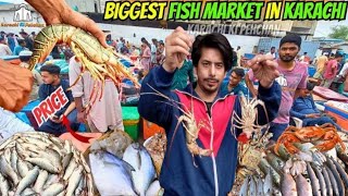 karachi fishery wholesale price  Fish Market in Karachi [upl. by Shaine73]