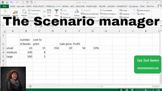 How to use the Scenario manager in Excel [upl. by Eelyram133]