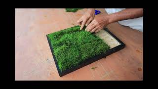 Flat Moss Installation [upl. by Schaffer]