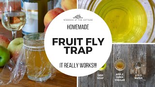 EASY HOMEMADE FRUIT FLY TRAP [upl. by Nich]