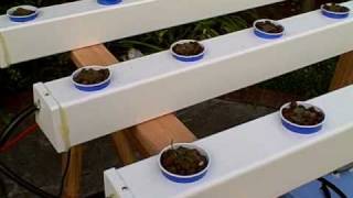 How to Build a Hydroponic Garden [upl. by Readus781]