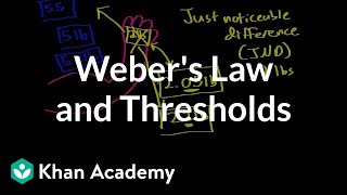 Webers law and thresholds  Processing the Environment  MCAT  Khan Academy [upl. by Eimerej]