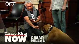 Cesar Millan on How He Became the Dog Whisperer  Tips amp Tricks [upl. by Lenra]