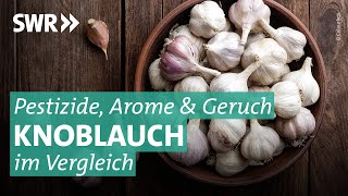 Knoblauch im Test Wie gesund ist die Knolle wirklich  Marktcheck SWR [upl. by Naleag]