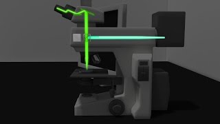 Fluorescence Microscopy Animation [upl. by Eddina]