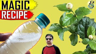 BEST ORGANIC PESTICIDE FORMULA  Home made Pest Control Recipe [upl. by Sivartal]