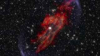 NASA  What Are Gamma Rays [upl. by Eiramanel]