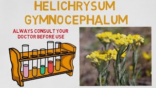 Essential Oil Breakdown Helichrysum Gymnocephalum Oil Benefits Uses and History Aromatherapy [upl. by Enneiviv]