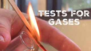 GCSE Science Chemistry 91  Tests for Gases [upl. by Ramunni]