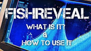 Lowrance FishReveal  How to use it [upl. by Schaeffer]